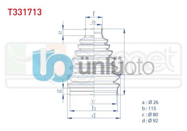 AKS KÖRÜĞÜ DIŞ RENAULT SERİSİ