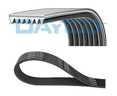 ALTERNATÖR KAYIŞI 7PK1322