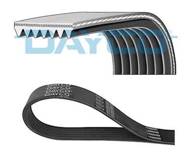 ALTERNATÖR KAYIŞI 7PK1705