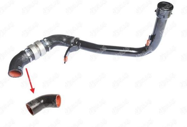 İNTERCOLLER HORTUMU EURO 5 FİAT DUCATO 3