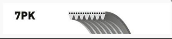 ALTERNATÖR KAYIŞI GATES 7PK1325