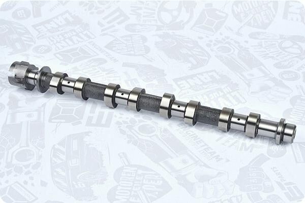 EKSANTRİK MİLİ EMME RENAULT MASTER 3