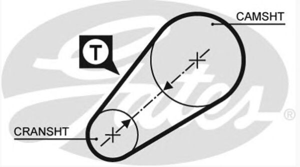 TRİGER KAYIŞI M131 DKS