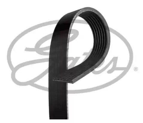 ALTERNATÖR KAYIŞI 7PK1685