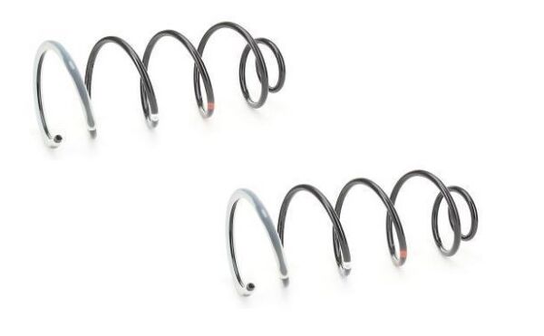 ÖN HELEZON YAYI PEUGEOT 307