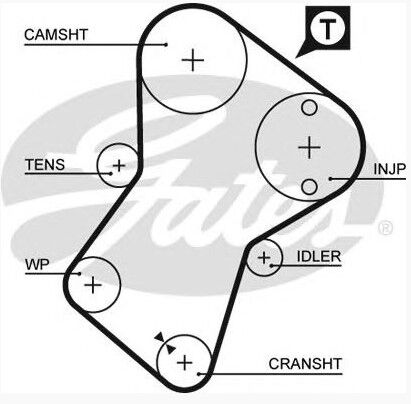 TRİGER KAYIŞI XUD9 PEUGEOT PARTNER