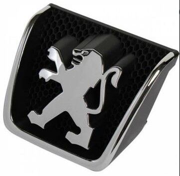 ÖN PANJUR ARMASI PEUGEOT 307