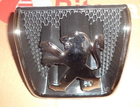 ÖN PANJUR ARMASI PEUGEOT 307