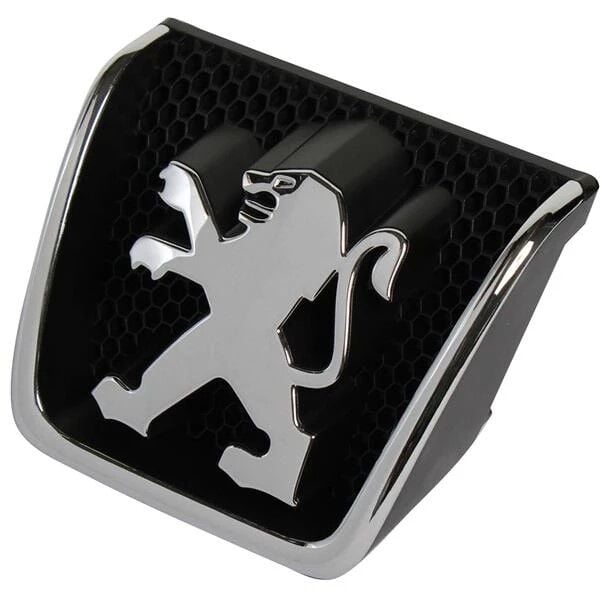 ÖN PANJUR ARMASI PEUGEOT 307