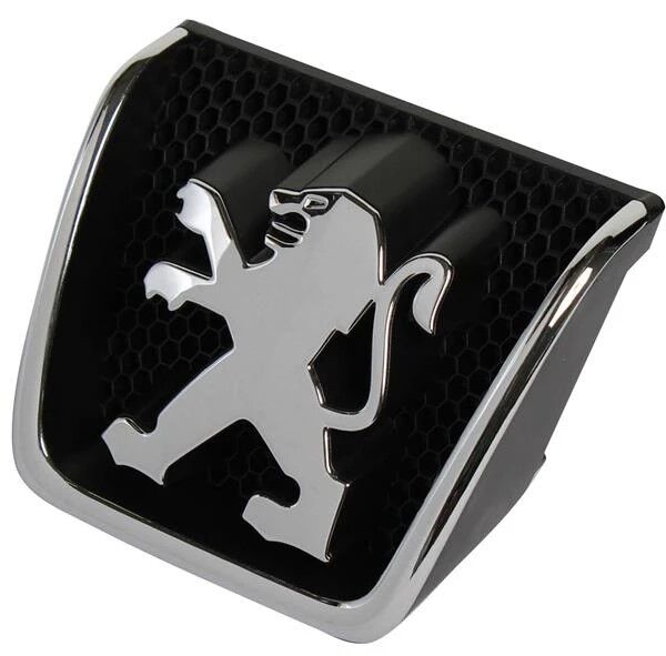 ÖN PANJUR ARMASI PEUGEOT 307