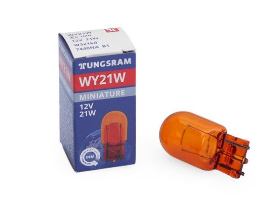 BÜYÜK DİPSİZ AMPÜL TRUNCU 12 V