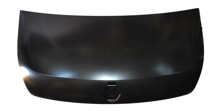 MOTOR KAPUTU RENAULT MASTER 3