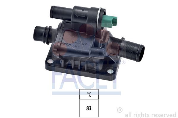 TERMOSTAD KOMPLE DV6 PEUGEOT SERİSİ