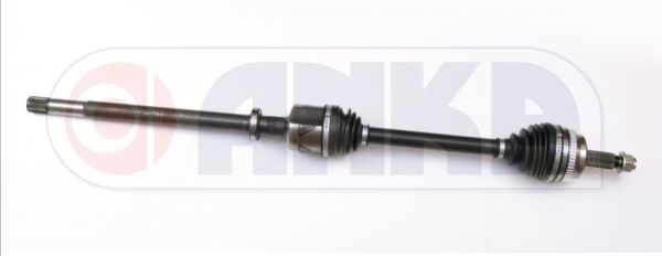 AKS SAĞ 2010--> RENAULT MASTER 2