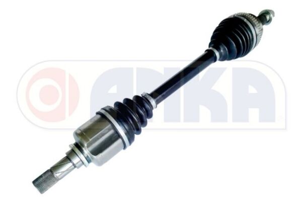 AKS SOL 2010--> RENAULT MASTER 2