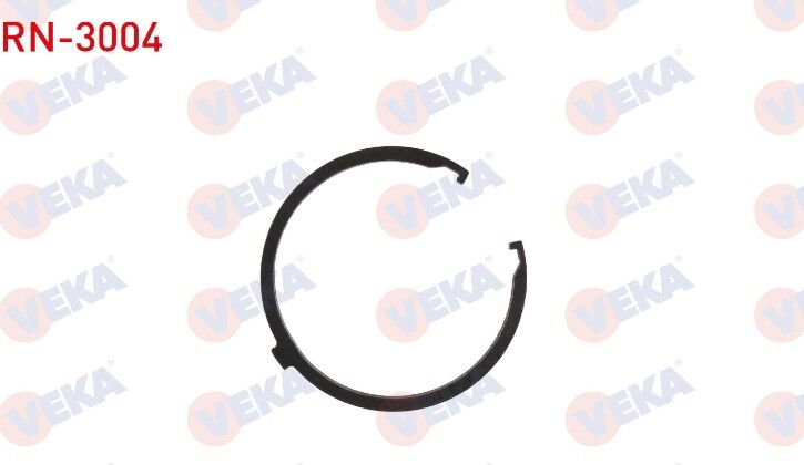 AKS DİŞLİ ÇAN SEKMANI RENAULT MASTER