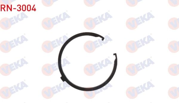 AKS DİŞLİ ÇAN SEKMANI RENAULT MASTER