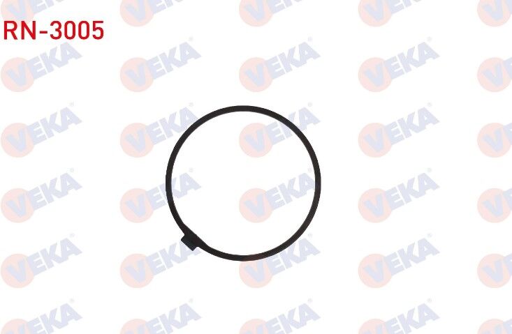 AKS DİŞLİ ÇAN RONDELASI RENAULT MASTER