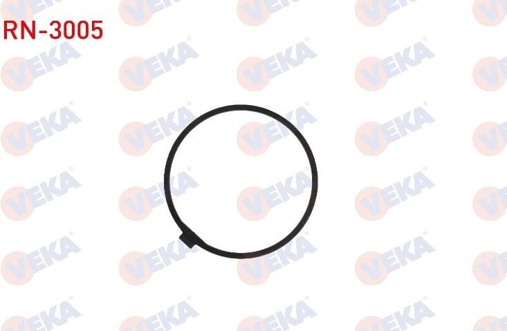 AKS DİŞLİ ÇAN RONDELASI RENAULT MASTER