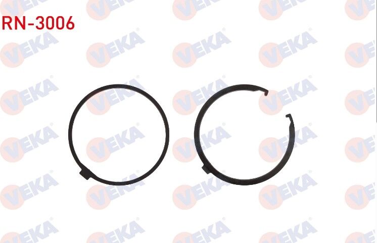 AKS DİŞLİ ÇAN RONDELASI+SEGMANI RENAULT MASTER