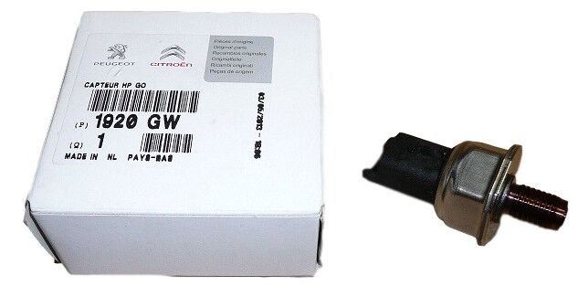 ENJEKTÖR RAMPA MÜŞÜRÜ PEUGEOT 407