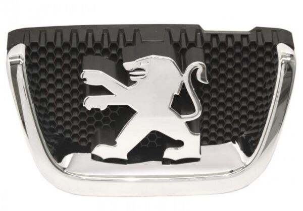 ÖN ARMA PEUGEOT 407