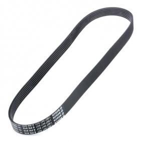 ALTERNATÖR KAYIŞI 6PK915